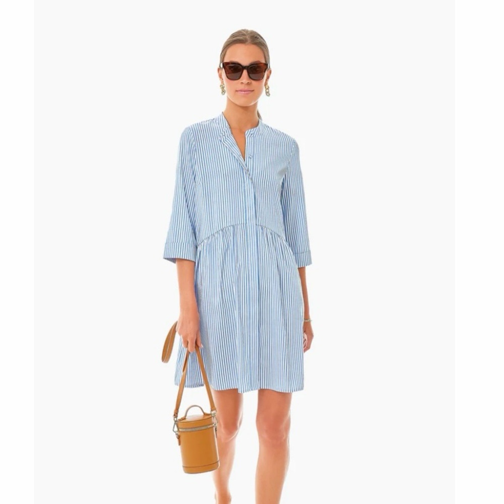 Tuckernuck Blue Stripe Royal Shirt Dress